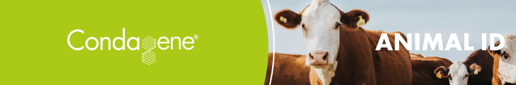 condagene id animal ingles